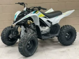 2022 Yamaha Raptor 90 (YFM90R)