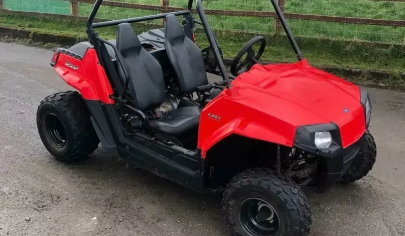 2015 Polaris RZR 170