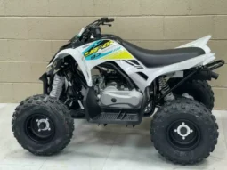 2022 Yamaha Raptor 90 (YFM90R)