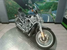 2011 Harley-Davidson V-Rod 1250 (VRSCAW)