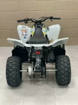 2022 Yamaha Raptor 90 (YFM90R)