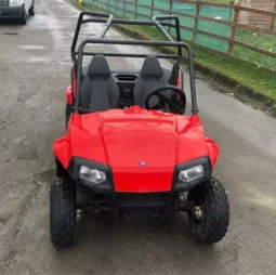 2015 Polaris RZR 170