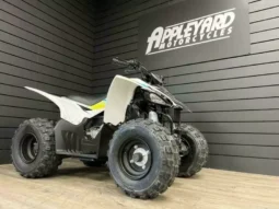 2021 Yamaha YFZ50