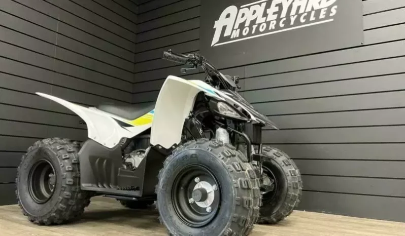 
								2021 Yamaha YFZ50 full									