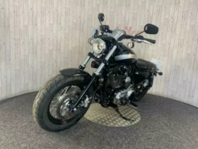 2018 Harley-Davidson 1200 Custom (XL1200C)