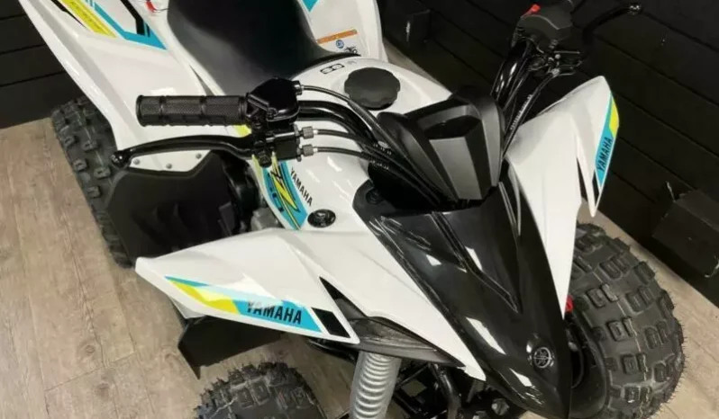 
								2021 Yamaha YFZ50 full									
