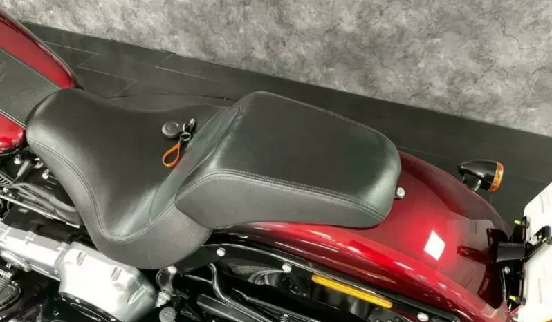 
								2018 Harley-Davidson Fat Boy 103 (FLSTF) full									